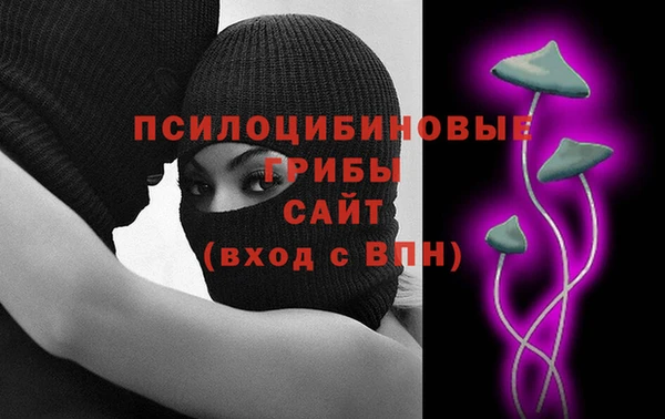 PSILOCYBIN Покровск