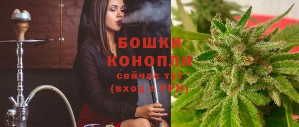 молекула духа Покров