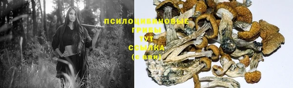 ALPHA-PVP Покачи