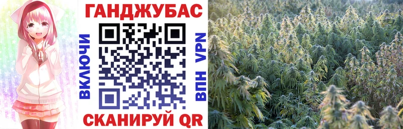 Шишки марихуана конопля Юрга